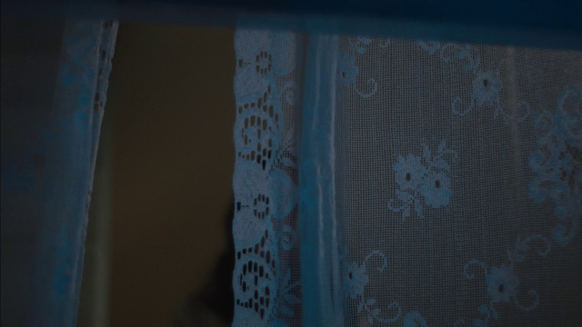 Video Reference: Blue, Turquoise, Green, Aqua, Wall, Azure, Teal, Textile, Tints and shades, Pattern