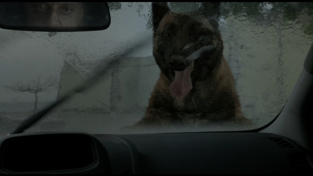 Video Reference: Windshield, Glass, Windscreen wiper, Rear-view mirror, Window, Automotive window part, Automotive mirror, Snout, Dog breed, Auto part, Person