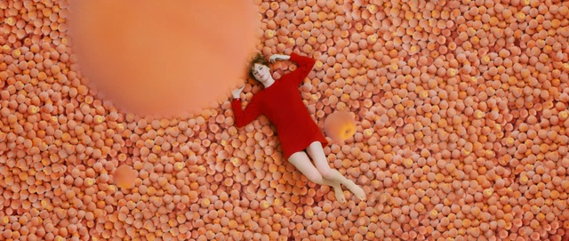 Video Reference: orange, commodity, grass family