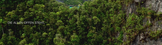 Video Reference: Vegetation, Tropical and subtropical coniferous forests, Nature, Nature reserve, Forest, Natural environment, Jungle, Tree, Biome, Rainforest