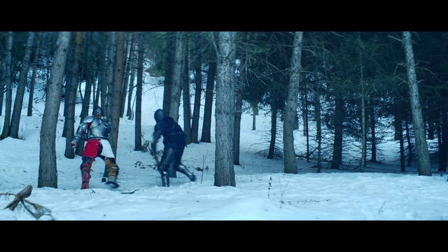 Video Reference: Winter, Snow, Tree, Natural environment, Forest, Freezing, Footwear, Sky, Photography, Fun, Person