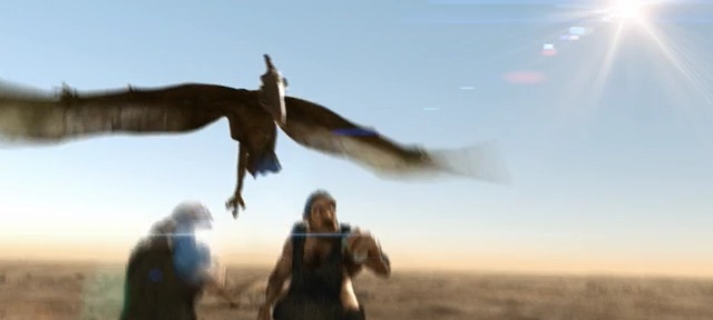 Video Reference: sky, ecoregion, wind, Person