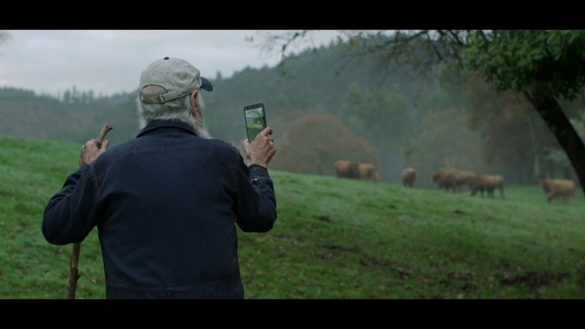 Video Reference: Shooting, Shooting sport, Grassland, Shooting range, Practical shooting, Recreation, Wildlife, Rural area, Pasture, Sport venue