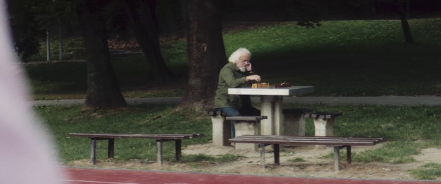 Video Reference: Bench, Sitting, Standing, Furniture, Table, Tree, Leisure