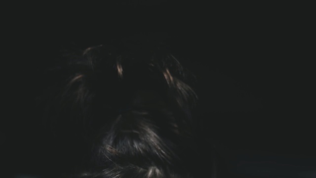 Video Reference: black, darkness, light, atmosphere, black and white, sky, photography, whiskers, computer wallpaper, close up