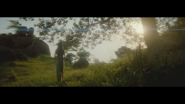 Video Reference: Nature, Sunlight, Vegetation, Green, Natural environment, Atmospheric phenomenon, Morning, Tree, Light, Sky