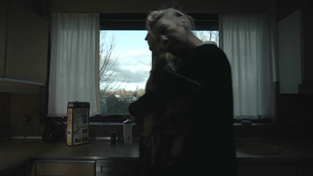 Video Reference: Standing, Darkness, Window, Room, Fur, Sporting Group, Photography, Art, Person