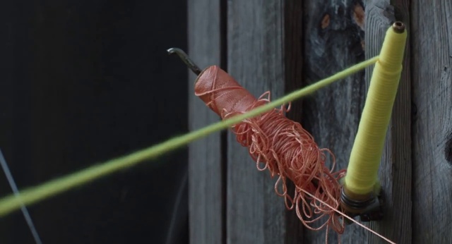 Video Reference: Plant, Thread, Textile, Plant stem, Nepenthes, Flower