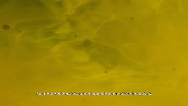 Video Reference: Green, Yellow, Text
