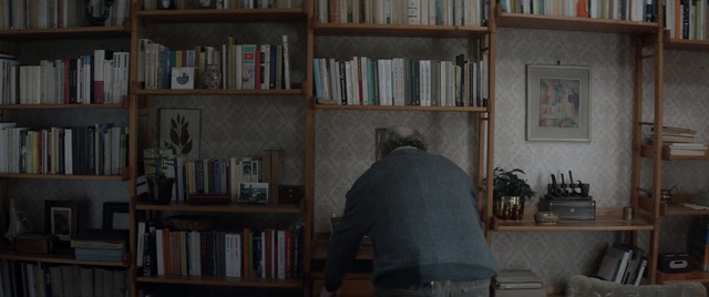 Video Reference: Shelving, Shelf, Bookcase, Furniture, Library, Room, Wall, Building, Book, Wood, Person