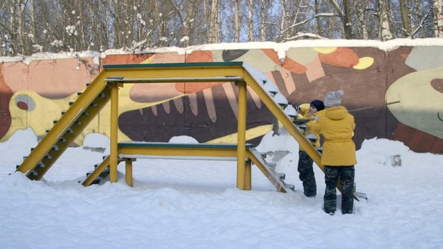 Video Reference: Snow, Winter, Tree, Freezing, Leisure