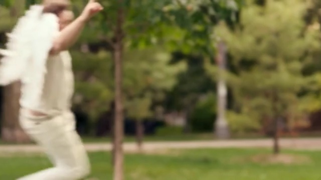 Video Reference: grass, lawn, tree, plant, recreation, leisure