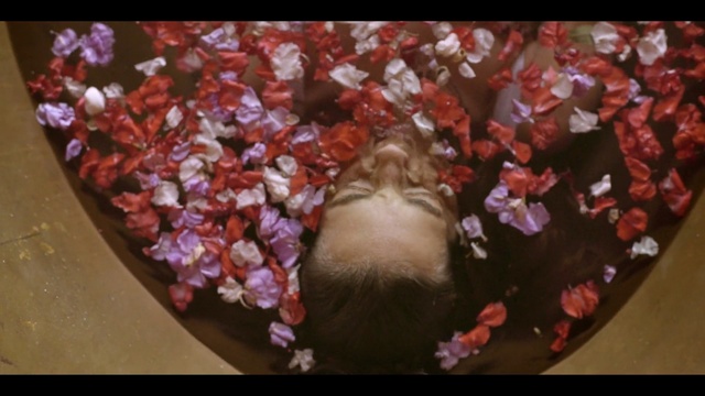 Video Reference: Red, Petal, Pink, Spring, Organism, Leaf, Plant, Mouth, Blossom, Flower