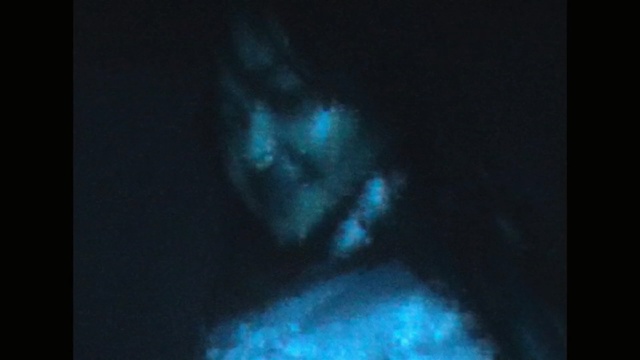 Video Reference: Blue, Black, Darkness, Turquoise, Light, Aqua, Organism, Azure, Marine biology, Electric blue