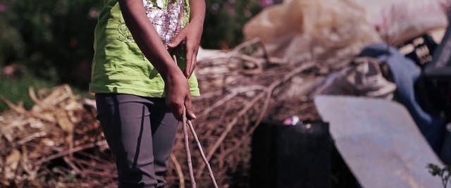 Video Reference: Tree, Branch, Adaptation, Hand, Plant, Soil, Walking