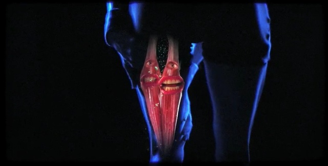 Video Reference: performance, joint, aerialist, performing arts, human body, darkness, organ, organism, event, performance art