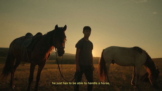 Video Reference: horse, ecosystem, horse like mammal, mustang horse, sky, stallion, mare, herd, ecoregion, morning, Person