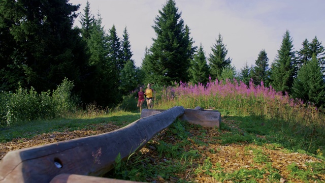 Video Reference: Wilderness, Tree, Biome, Grass, Forest, Woodland, Plant, Landscape, Path, Road, Outdoor, Park, Bench, Sitting, Building, Green, Front, Field, Man, Wooden, Red, Board, Grassy, Young, Standing, Dirt, Riding, Fence, Sky