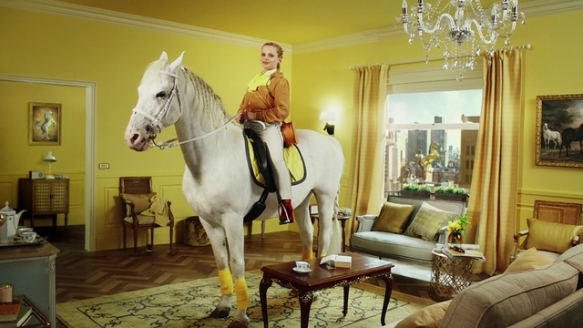 Video Reference: Horse, Yellow, Room, Wallpaper, Interior design, Recreation, Mane, Bridle, Mare, Photography
