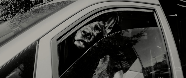 Video Reference: car, motor vehicle, black, white, photograph, black and white, monochrome photography, wheel, automotive design, photography