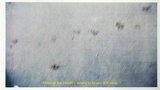 Video Reference: Text, Stain