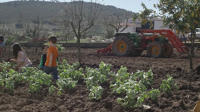 Video Reference: agriculture, soil, field, agricultural machinery, farm, farmworker, plant, crop, rural area, harvest