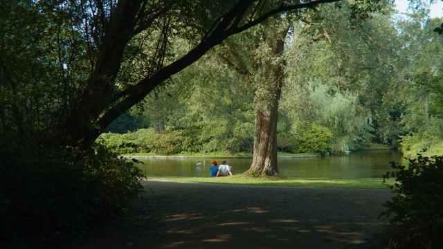 Video Reference: Natural landscape, Nature, Tree, Nature reserve, Natural environment, Bayou, Bank, Pond, Botany, Biome, Grass, Outdoor, Park, Small, Water, Bench, Green, Street, Sitting, Man, Field, Grassy, Riding, Forest, Driving, River, Motorcycle, Large, Red, Standing, Parked, Bus, White, Lake, Plant, Lush