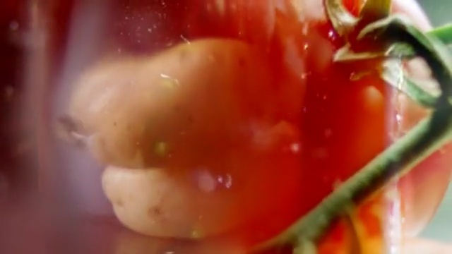 Video Reference: Food, Tomato, Solanum, Vegetable, Fruit, Close-up, Mouth, Produce, Plant, Cuisine