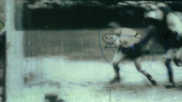 Video Reference: fauna, wildlife, snout, cattle like mammal