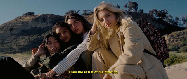 Video Reference: Friendship, Movie, Human, Photography, Adaptation, Happy, Smile, Person