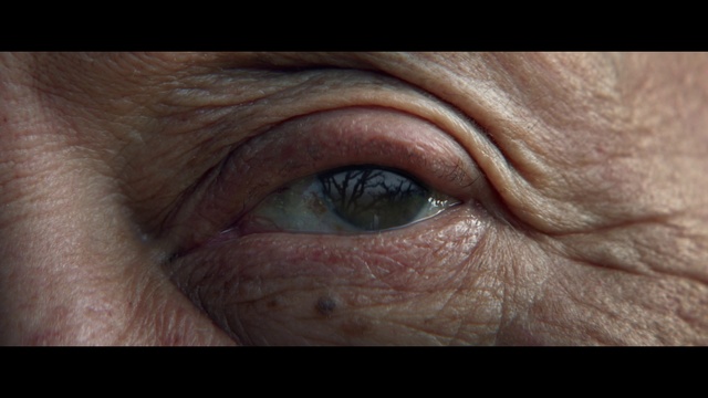 Video Reference: Wrinkle, Skin, Face, Eyebrow, Eye, Close-up, Head, Organ, Iris, Eyelash