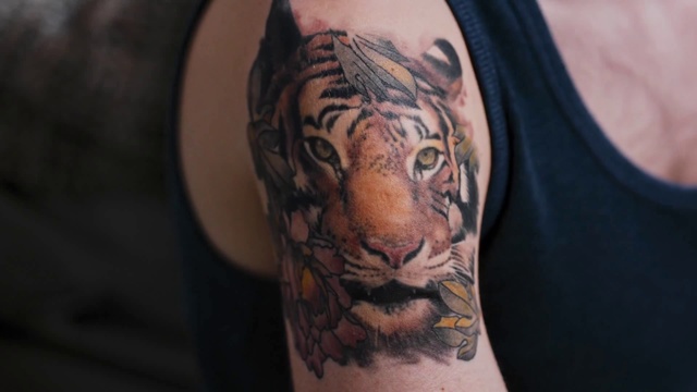 Video Reference: Tattoo, Bengal tiger, Shoulder, Tiger, Felidae, Arm, Joint, Wildlife, Big cats, Human body