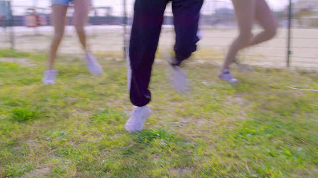 Video Reference: Human leg, Leg, Grass, Walking, Footwear, Leggings, Plant, Recreation, Electric blue, Shoe