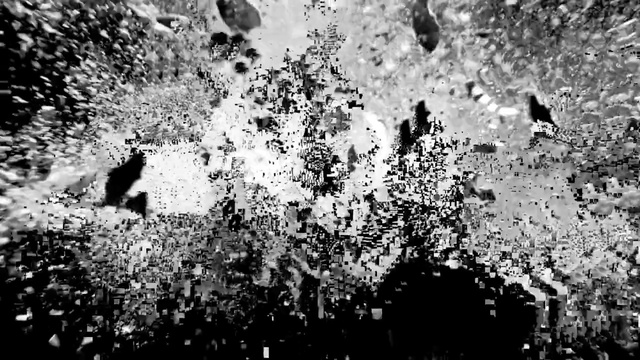 Video Reference: Black-and-white, Monochrome photography, Black, Water, Monochrome, Wall, Photography, Tree, Stock photography, Style