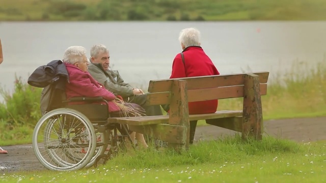 Video Reference: cart, sitting, vehicle, plant, grass, carriage, child, recreation, leisure