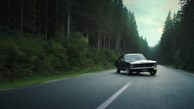 Video Reference: Land vehicle, Vehicle, Car, Mode of transport, Road, Asphalt, Performance car, Classic car, Bmw 3 series (e30), Outdoor, Scene, Grass, Driving, Street, Traveling, Highway, Riding, Going, Country, Green, Motorcycle, Forest, Red, Side, View, Yellow, Man, Traffic, White, Bus, Tree, Way, Wheel, Auto part, Text, Roadway