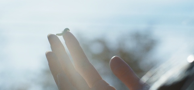 Video Reference: Finger, Hand, Nail, Skin, Sky, Close-up, Sunlight, Photography, Cloud, Gesture
