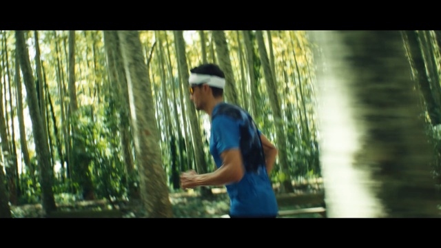 Video Reference: green, tree, nature, plant, woody plant, vertebrate, ecosystem, water, grass, leisure