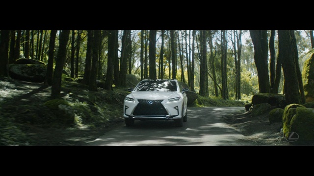 Video Reference: Land vehicle, Vehicle, Automotive design, Car, Mid-size car, Lexus, Compact car, Tree, Sports car