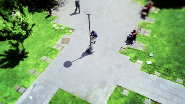 Video Reference: path, grass, walkway, tree, lawn, leaf, plant, yard, biome, outdoor structure