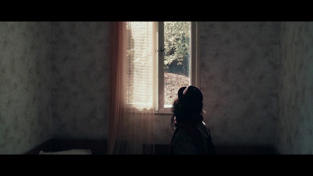 Video Reference: Black, Photograph, Darkness, Light, Snapshot, Photography, Shadow, Screenshot, Tree, Digital compositing