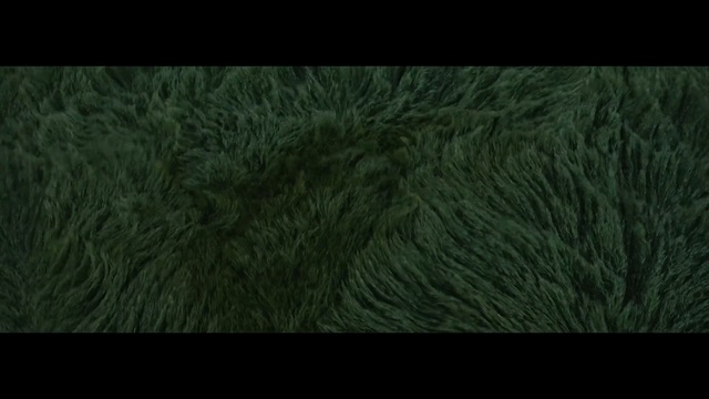 Video Reference: green, ecosystem, grass, nature, vegetation, atmosphere, text, grass family, tree, biome