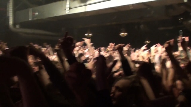 Video Reference: Crowd, Photograph, People, Light, Snapshot, Audience, Event, Music, Fun, Darkness