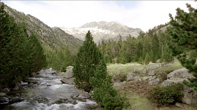 Video Reference: wilderness, nature reserve, vegetation, mountain, tree, geological phenomenon, valley, biome, watercourse, lake, Person