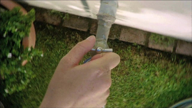 Video Reference: Green, Water, Grass, Leaf, Hand, Lawn, Finger, Plant, Tree, Soil