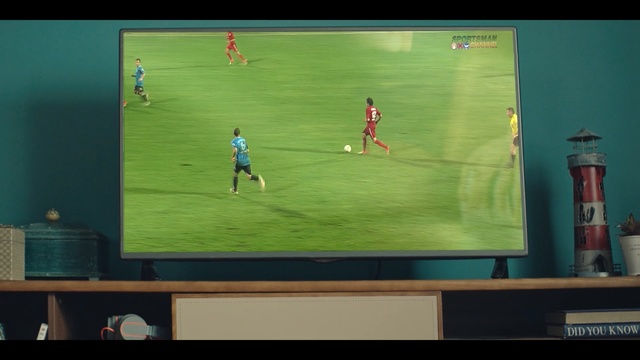 Video Reference: Green, Player, Sport venue, Display device, Football, Sports equipment, Grass, Screenshot, Games, Stadium