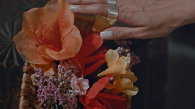 Video Reference: flower, petal, flora, floristry, flower arranging, spring, cut flowers, plant, floral design, flower bouquet