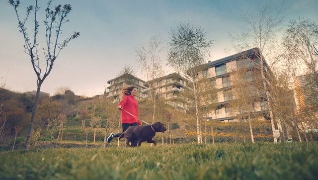 Video Reference: Tree, Grass, Pasture, Rural area, Canidae, Sporting Group, House, Plant, Home, Farm
