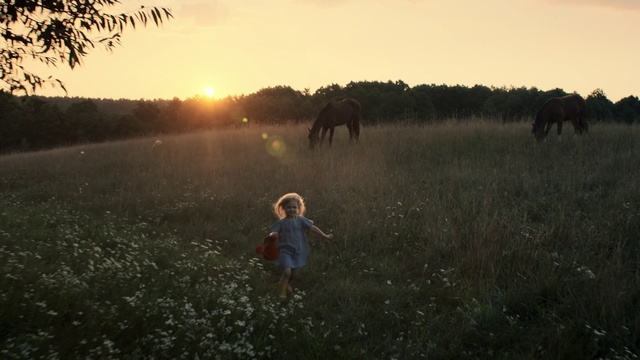 Video Reference: People in nature, Atmospheric phenomenon, Morning, Pasture, Sky, Grassland, Sunlight, Grass, Photography, Rural area