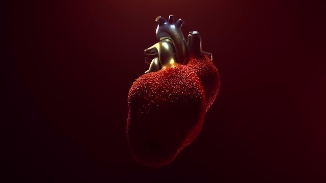Video Reference: Red, Macro photography, Still life photography, Organ, Organism, Close-up, Plant, Photography, Heart, Heart